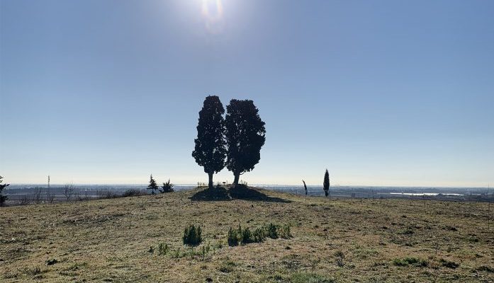 Aménagement de la tranche 4 de l’Ecoparc: Pioch-Palat