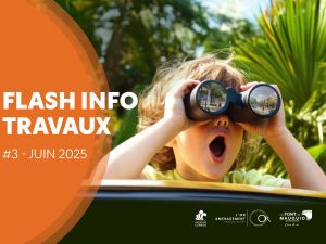 La Font de Mauguio: déviation temporaire du 30/06 au 31/07/2025